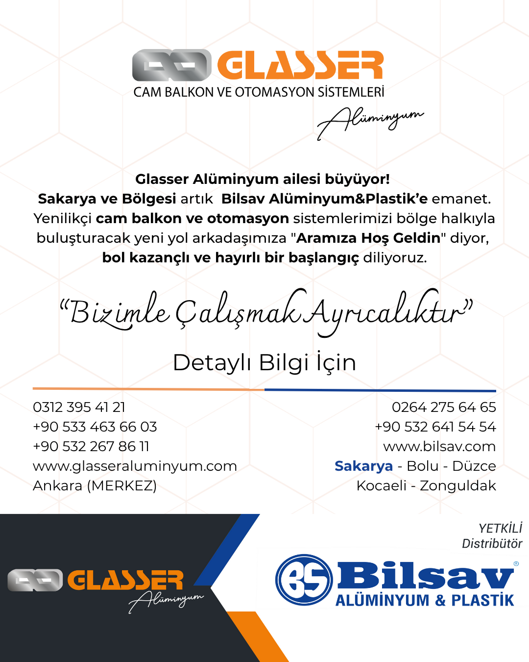 Sakarya Ek Resim